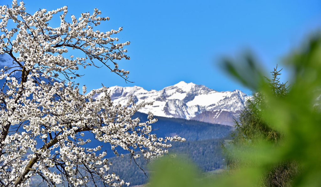 primavera-valle isarco